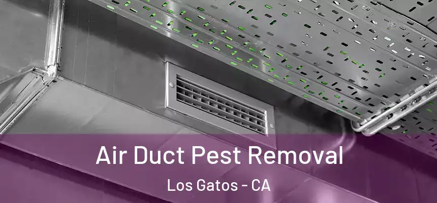  Air Duct Pest Removal Los Gatos - CA