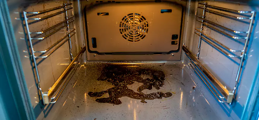 Our Dryer Vent Mold Cleaning Services in Los Gatos, CA