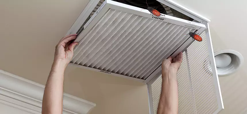Our Insect Removal from Air Ducts Services in Los Gatos, CA