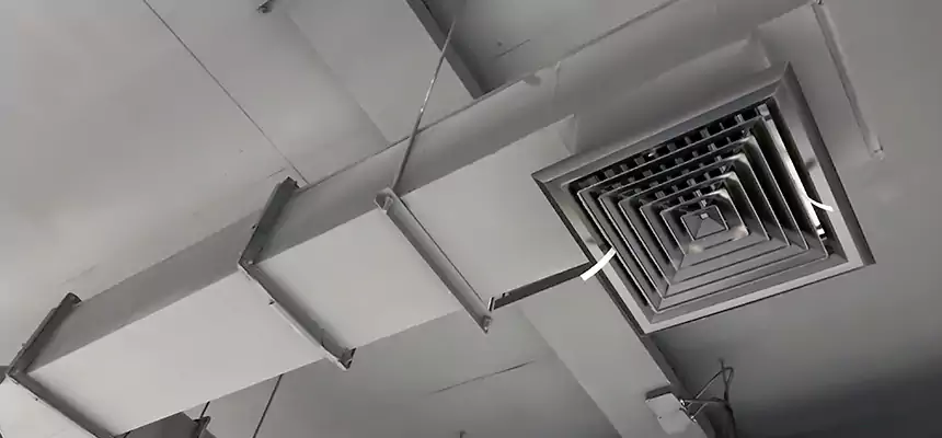 Our Rodent Droppings In Vents Services in Los Gatos, CA