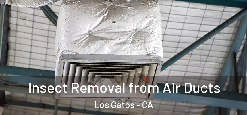  Insect Removal from Air Ducts Los Gatos - CA