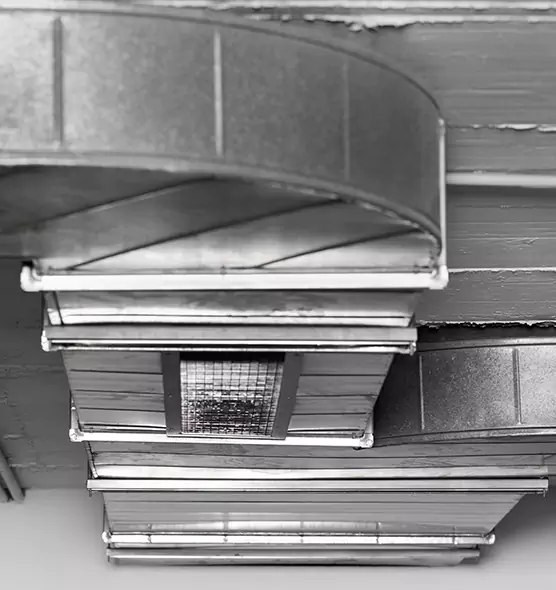 Professional Air Duct Pest Removal in Los Gatos, CA