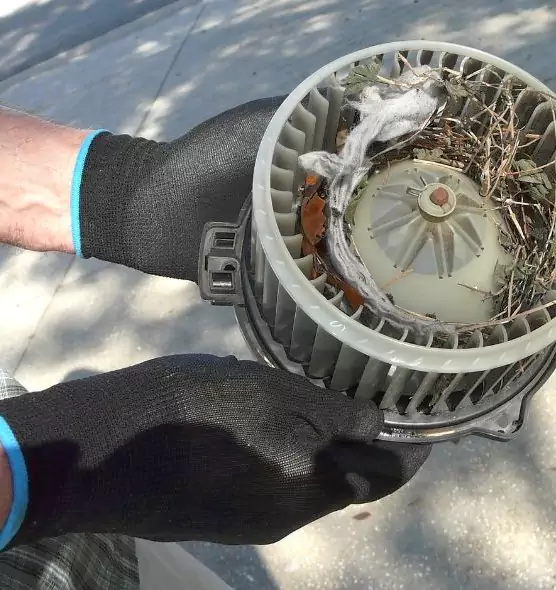 About Air Duct Rat Removal in Los Gatos, CA