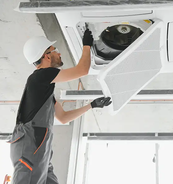 About Air Duct Rodent Removal in Los Gatos, CA