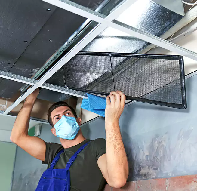 Why Homeowners Businesses Trust Us in Los Gatos, CA